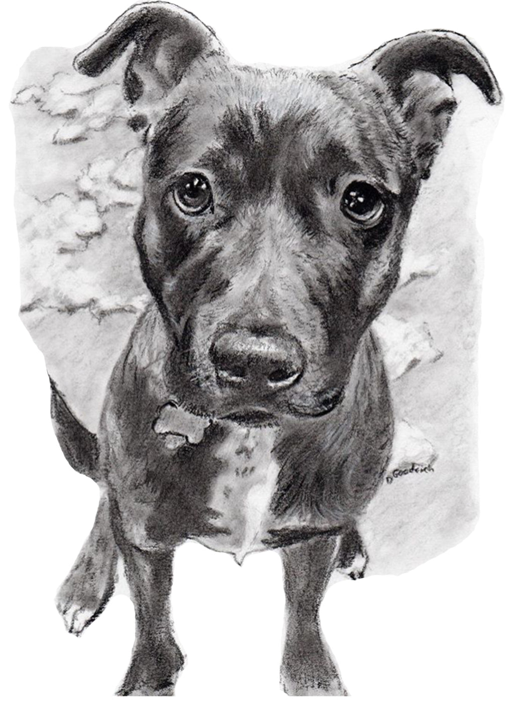 Custom pet portraits, custom dog portraits, dog portraits, pet portraits