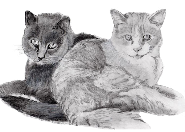 Get Your Pet Portrait Today!     Choose your size, how many beasts you want and the corresponding finish.