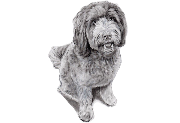 Get Your Pet Portrait Today!     Choose your size, how many beasts you want and the corresponding finish.