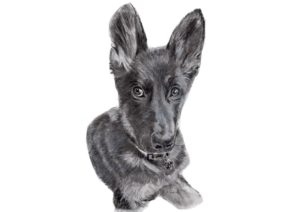 Get Your Pet Portrait Today!     Choose your size, how many beasts you want and the corresponding finish.