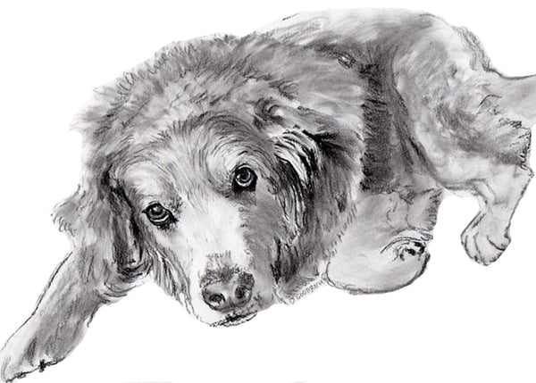 Get Your Pet Portrait Today!     Choose your size, how many beasts you want and the corresponding finish.