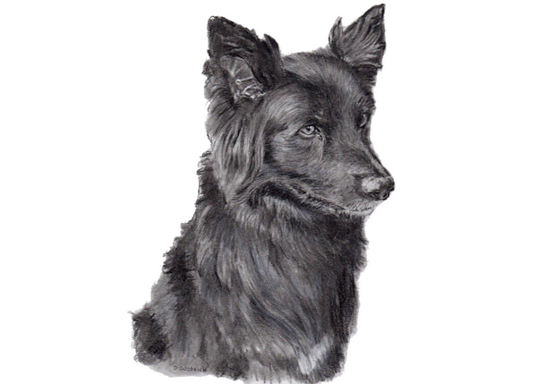 Get Your Pet Portrait Today!     Choose your size, how many beasts you want and the corresponding finish.