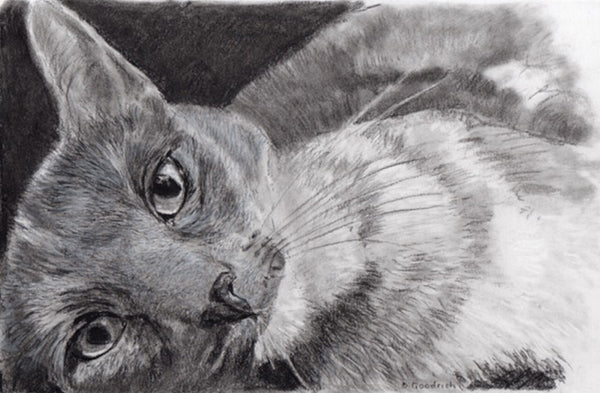 Get Your Pet Portrait Today!     Choose your size, how many beasts you want and the corresponding finish.