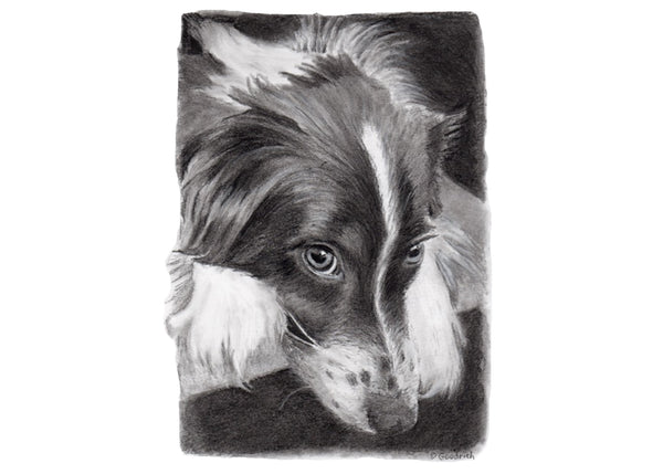 Get Your Pet Portrait Today!     Choose your size, how many beasts you want and the corresponding finish.