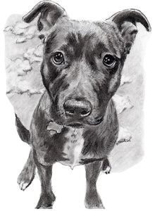Custom pet portraits, custom dog portraits, dog portraits, pet portraits