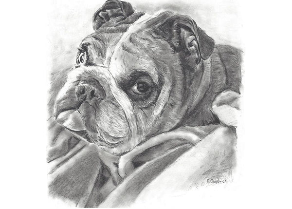 Get Your Pet Portrait Today!     Choose your size, how many beasts you want and the corresponding finish.